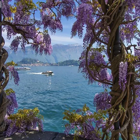 Croce
